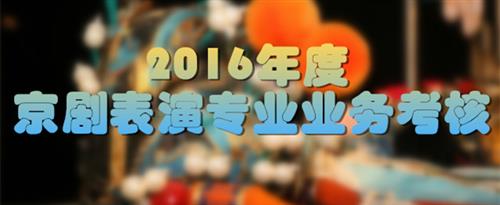 强行插入花核国家京剧院2016年度京剧表演专业业务考...